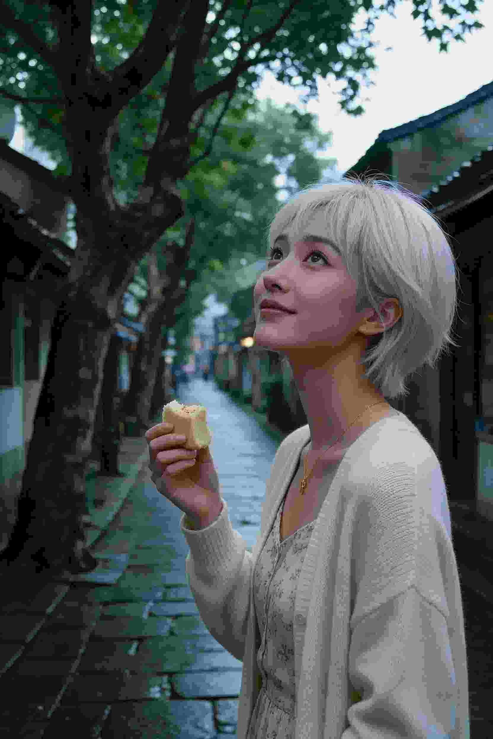观看指南
